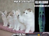 1784572988546.png