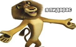 IMG_8716.jpeg IMG_8716.jpeg