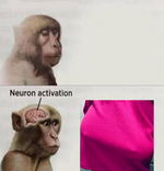 1784794997930.png
