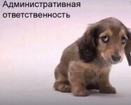 IMG_5629.jpeg