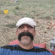 Moses_Casey